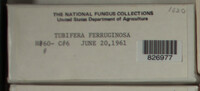 Image Associated With the Occurence